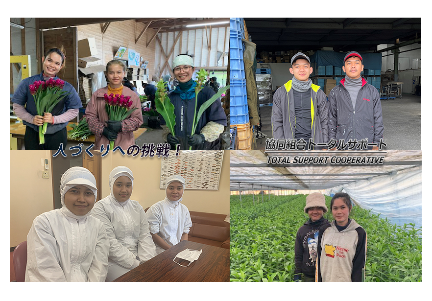 人づくりは「ちから」 人材は「たから」